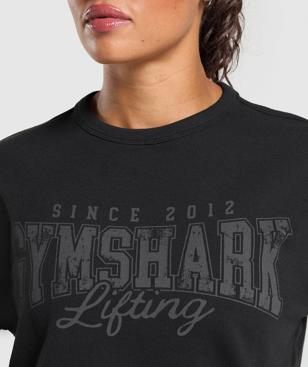 Levantamiento de la cubierta de la bomba de gran tamaño