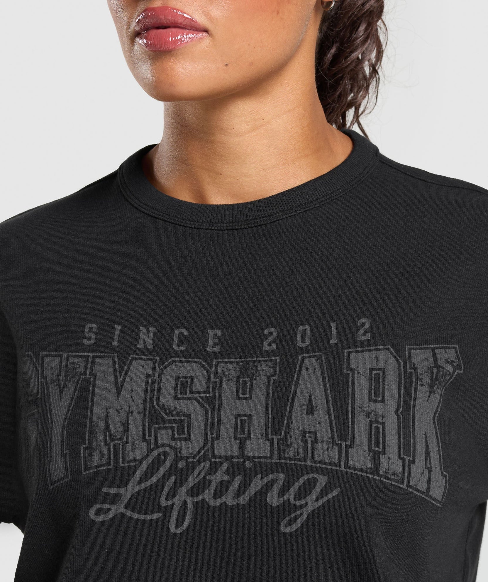 Levantamiento de la cubierta de la bomba de gran tamaño